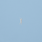 CLASSIC GOLFER on unisex sweatshirt - Sport Grey