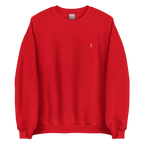 CLASSIC GOLFER on unisex sweatshirt - Charcoal